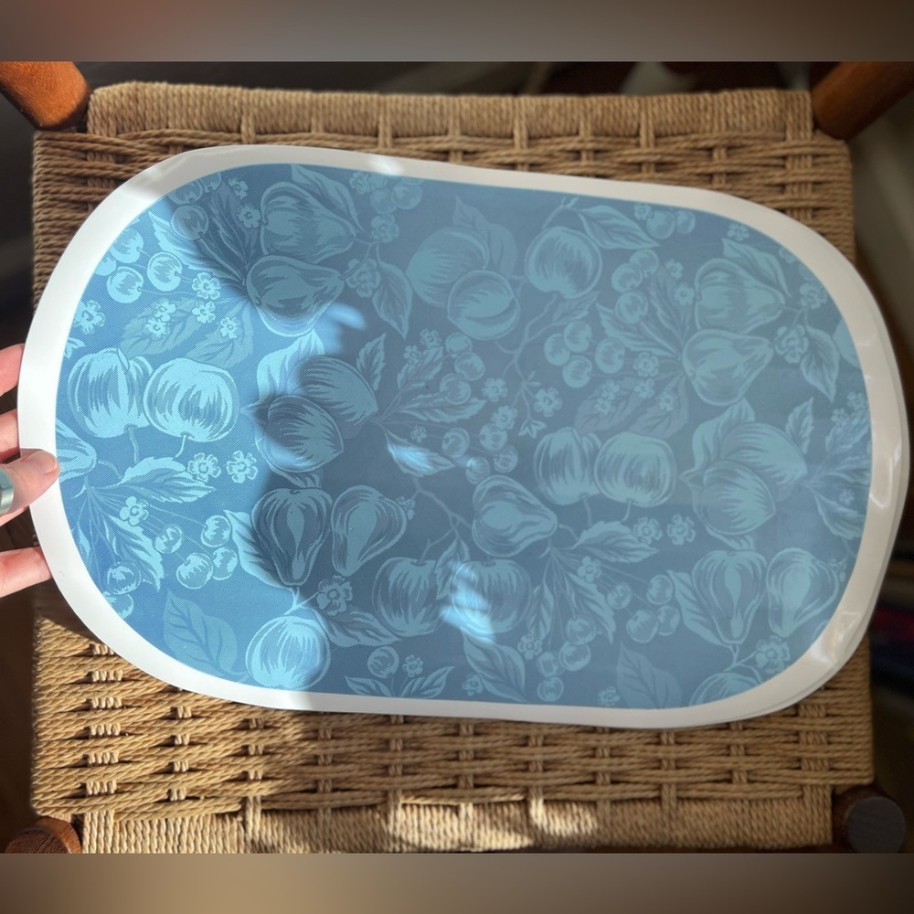 Vintage Blue Toile Vinyl Placemats (Set of 4) –Cottagecore Country Kitchen Fruit